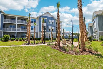 Courtyard with palm trees and apartment buildings